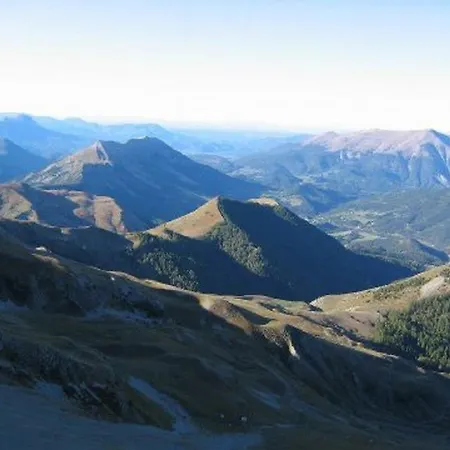Allos *
